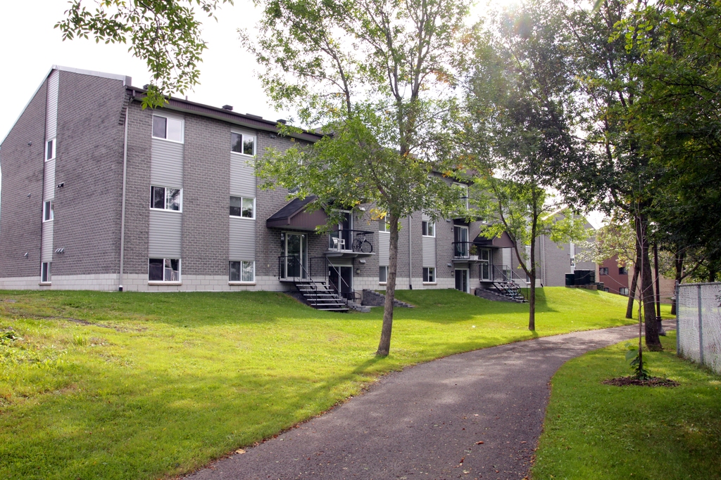 Top Image